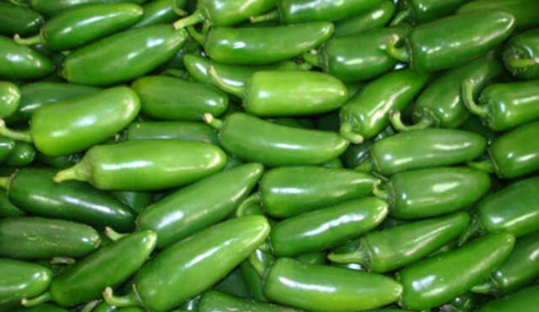 Chile Jalapeño