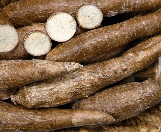 Yuca